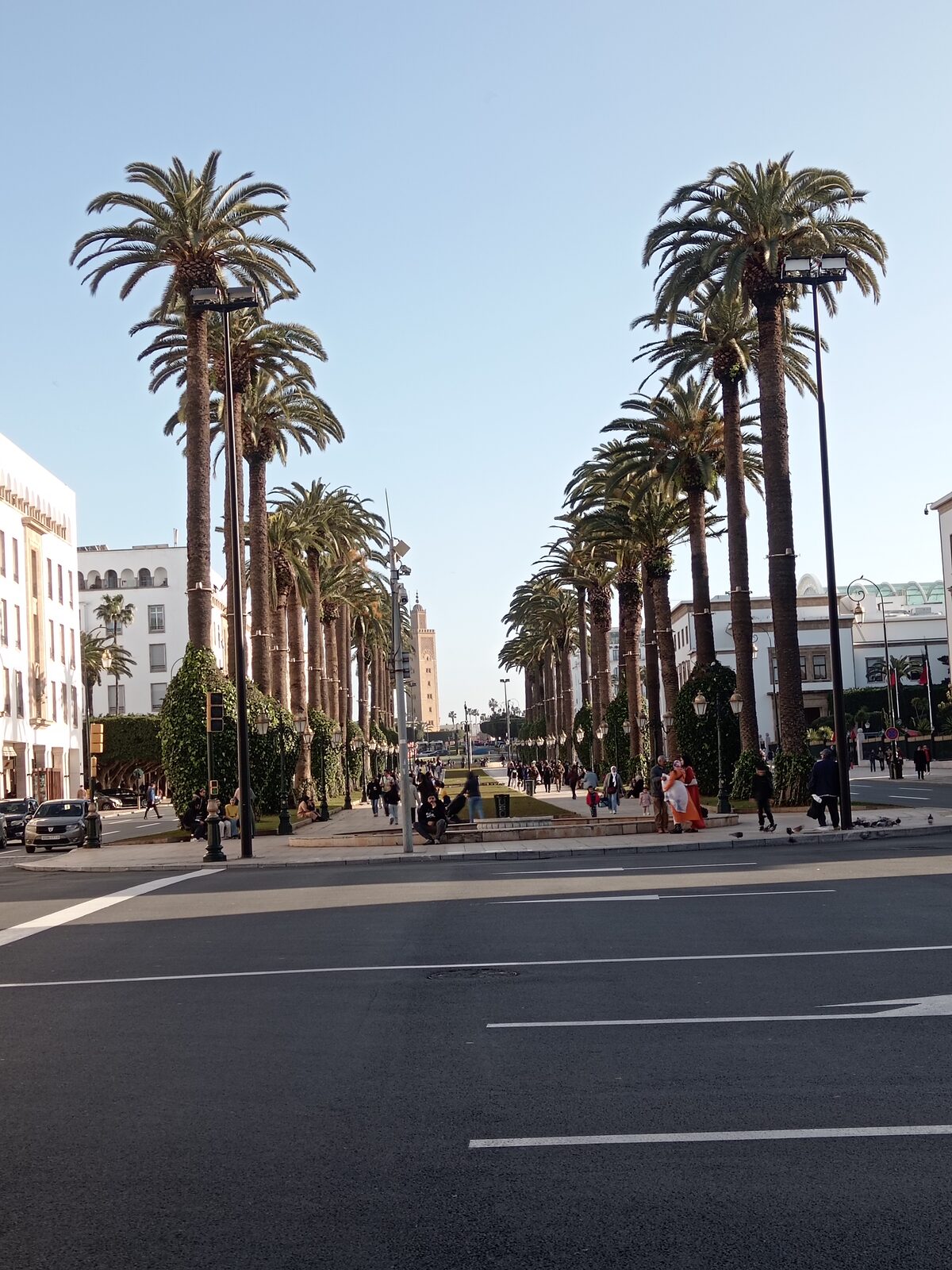 Avenue Mohammed V